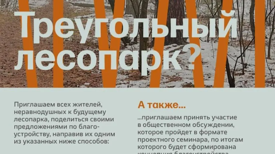 Концепцию треугольного лесопарка Подмосковья обсудят во вторник
