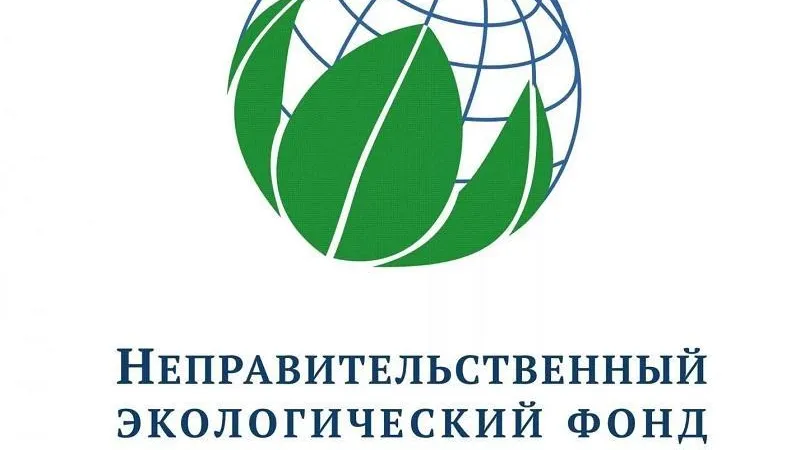 Жители Подмосковья могут принять участие во Всероссийском экологическом конкурсе