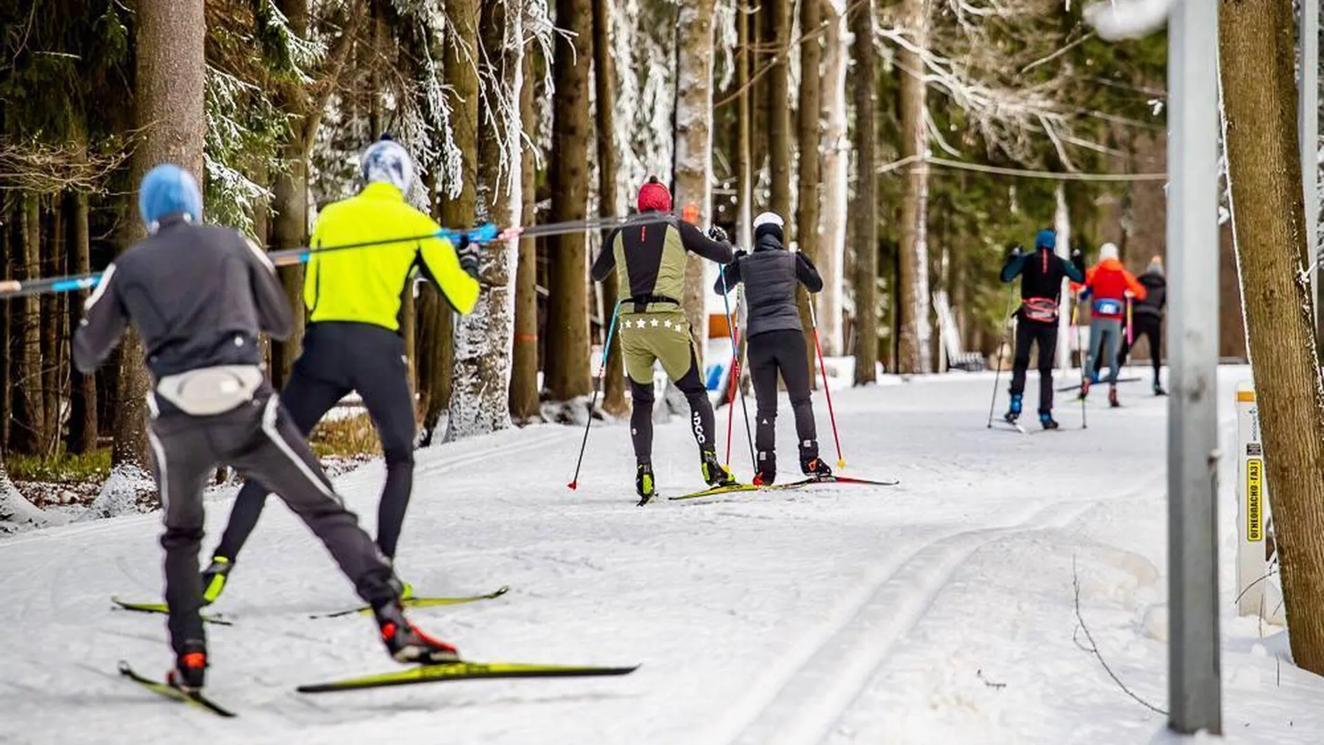 Соревнования по спортивному ориентированию на лыжах пройдут в Подмосковье
