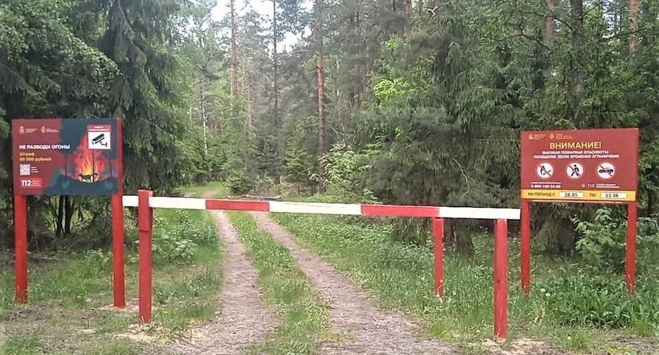 Жителям Подмосковья до 3 июня нельзя посещать леса и въезжать туда на транспорте