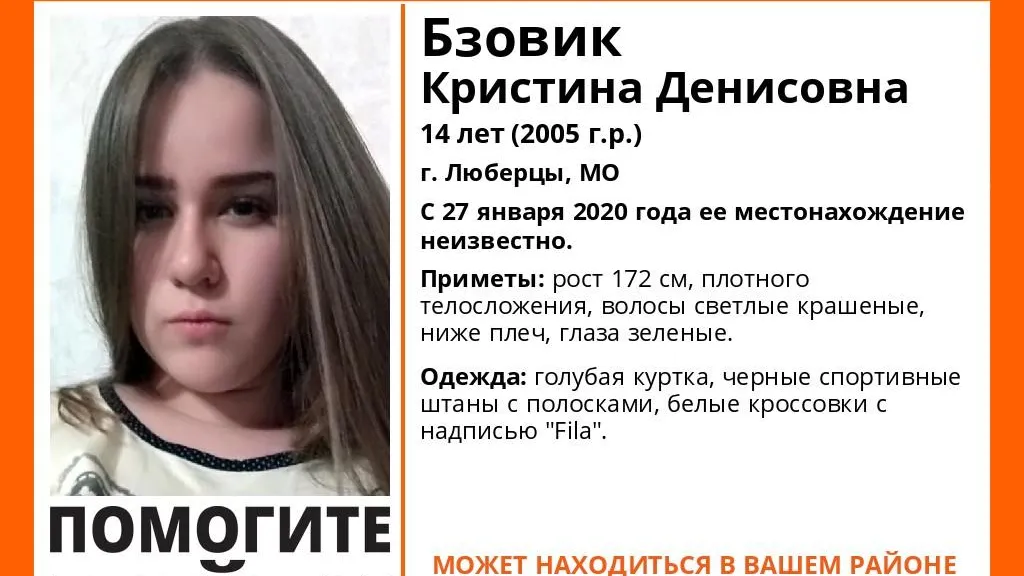 страница «Инфорг Лизаалерт» в социальной сети «ВКонтакте»