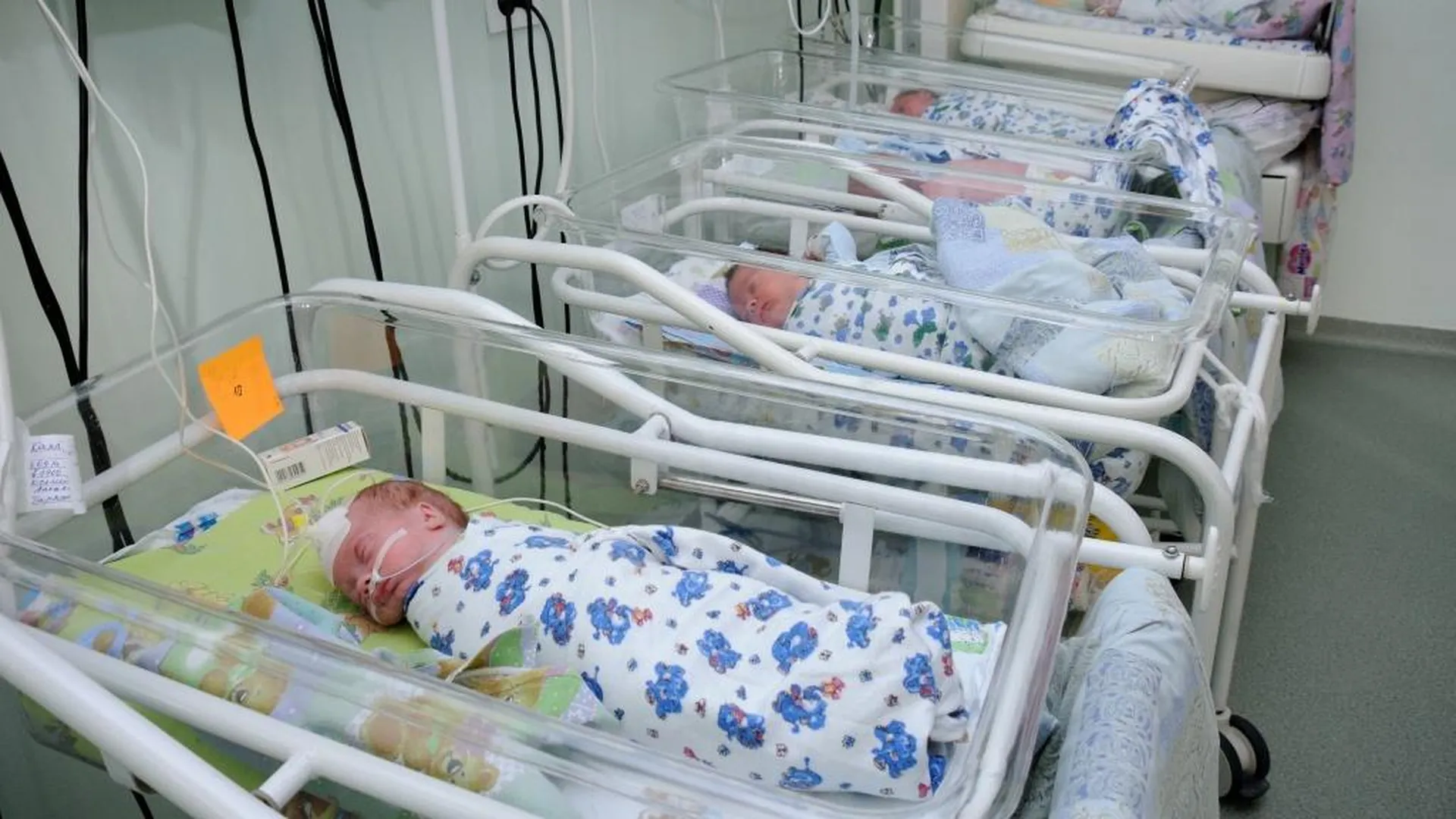 Подмосковье вошло в десятку регионов РФ с самой низкой младенческой смертностью