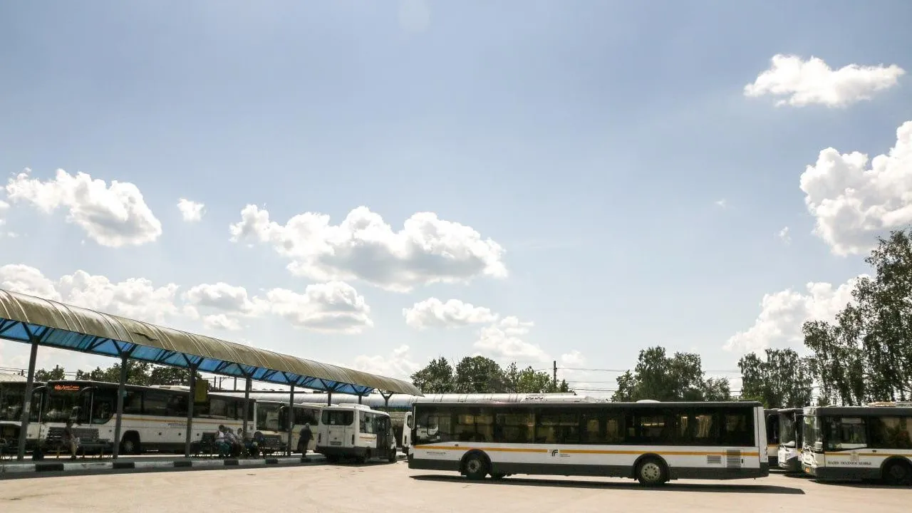 94 млн поездок совершили пассажиры на автобусных маршрутах Подмосковья летом