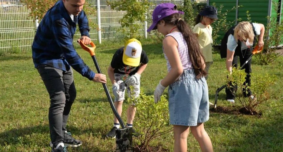 Акция по озеленению Ленинского округа прошла в детском саду «Бобренок»