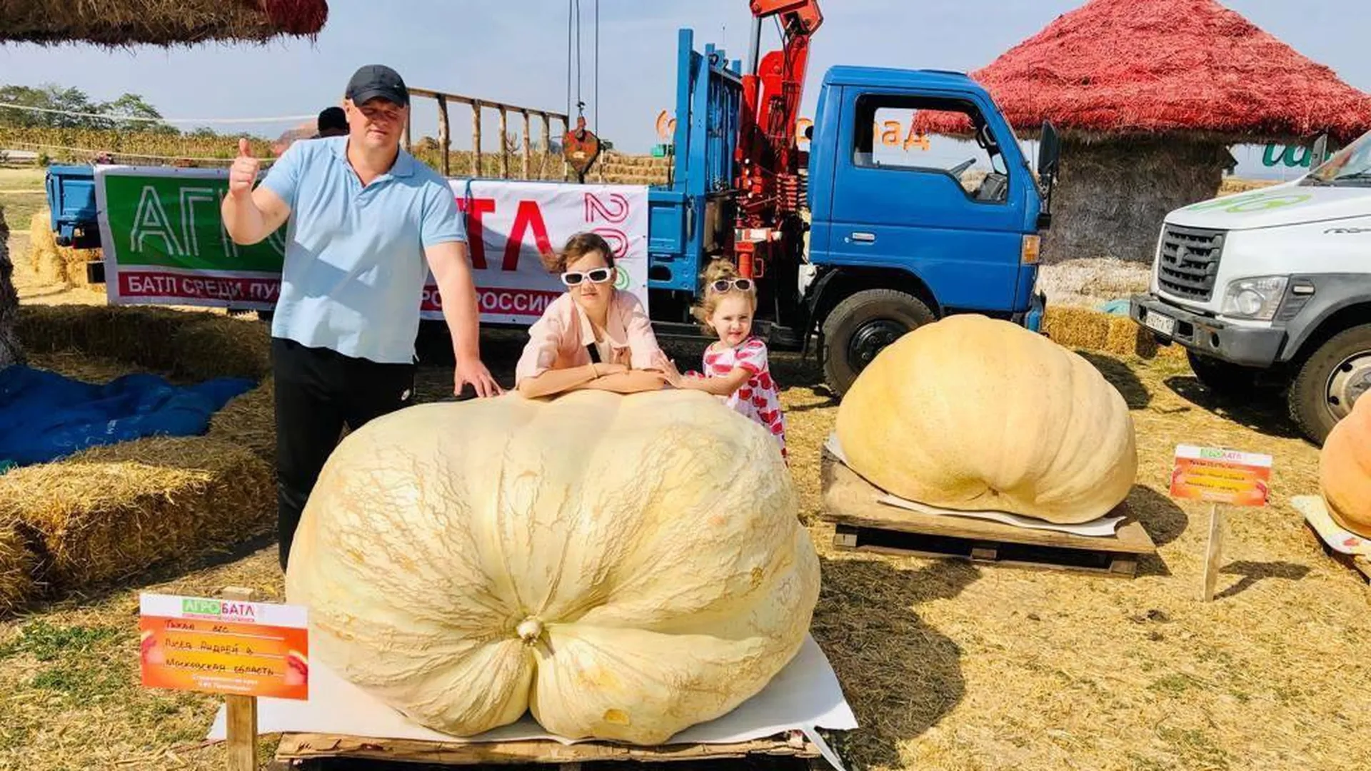 В Подмосковье вырастили самую большую тыкву в России весом 600 кг