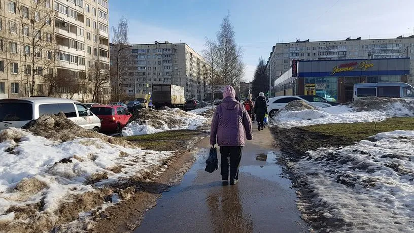 Мартовское тепло вместо морозов: в Московском регионе наблюдается весенняя погода