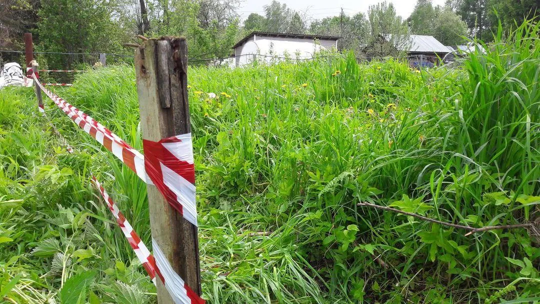 Собственники земли в Подмосковье изменили ВРИ своих участков на 1,5 млрд рублей