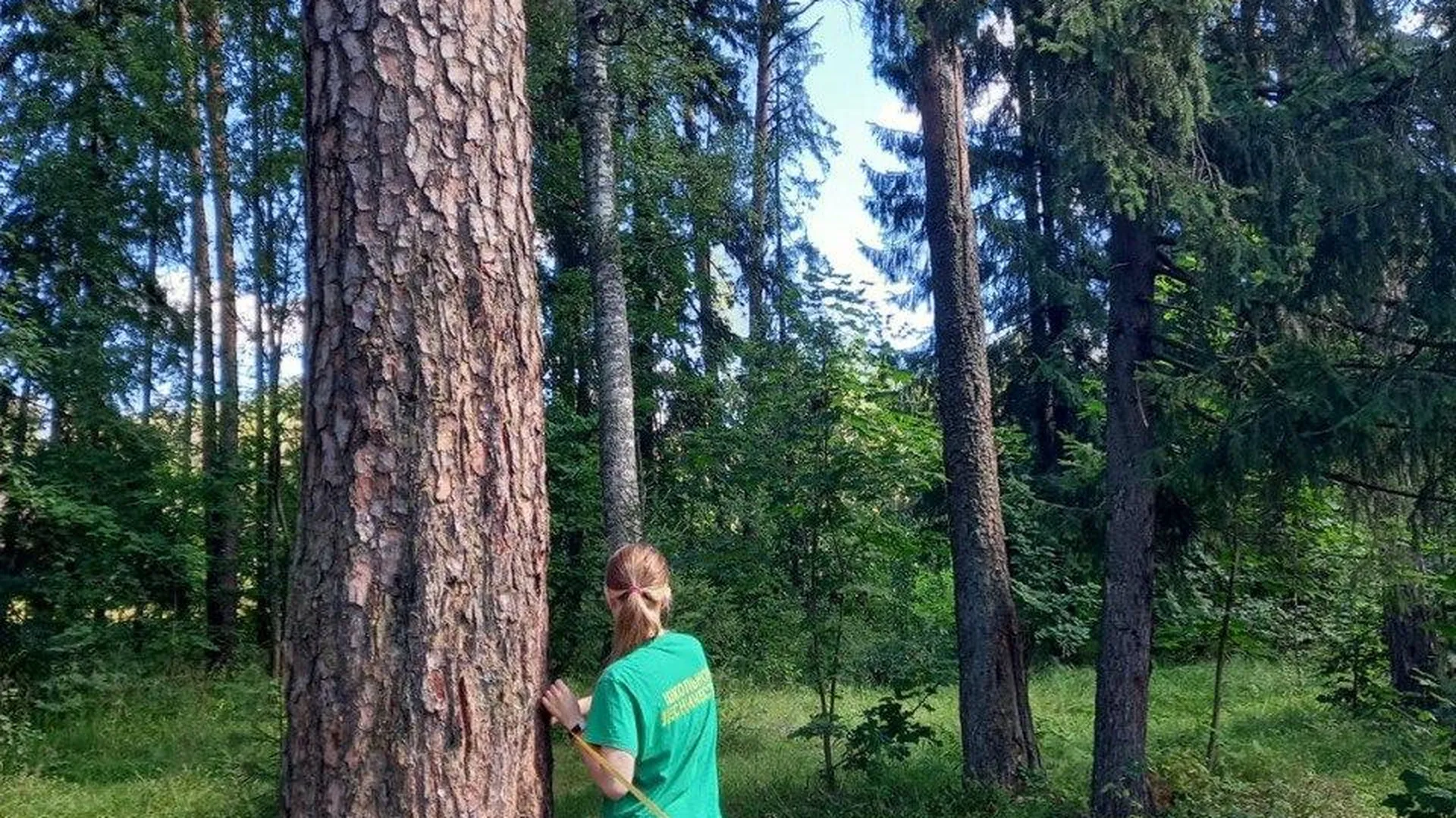 Школьники Щелкова попробовали себя в роли лесопатологов