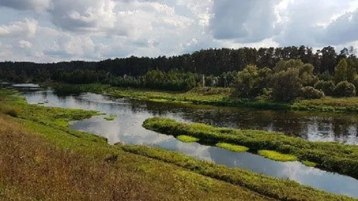 Новый природный заказник появился в Рузском округе