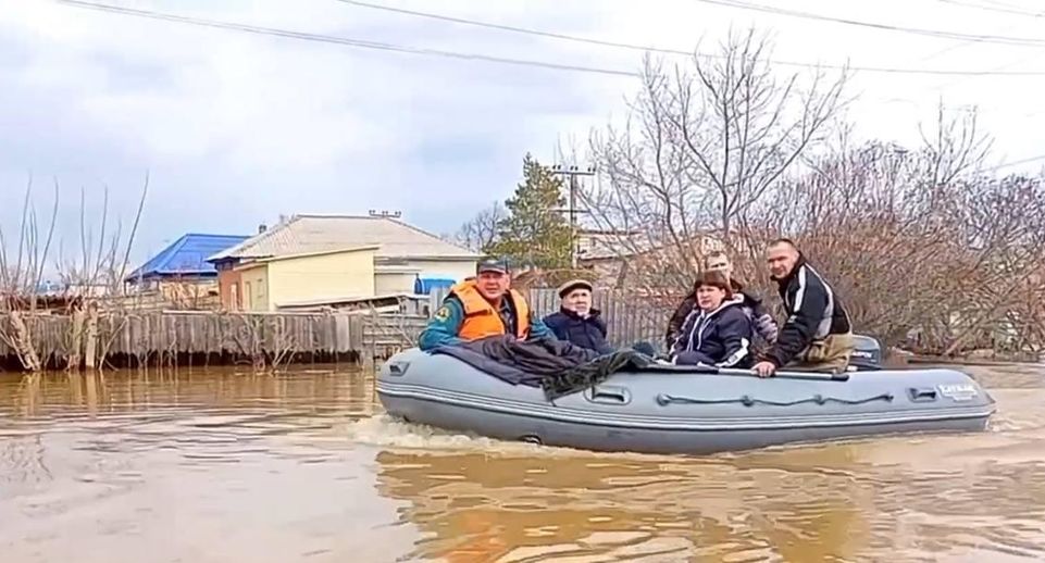 Кадры спасения питомцев в зоне затопления в Орске