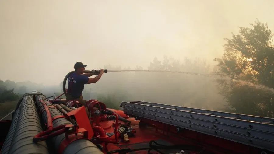 Пожар в Абрау-Дюрсо: причина ЧП и опасность для виноградников, экологии и туристов