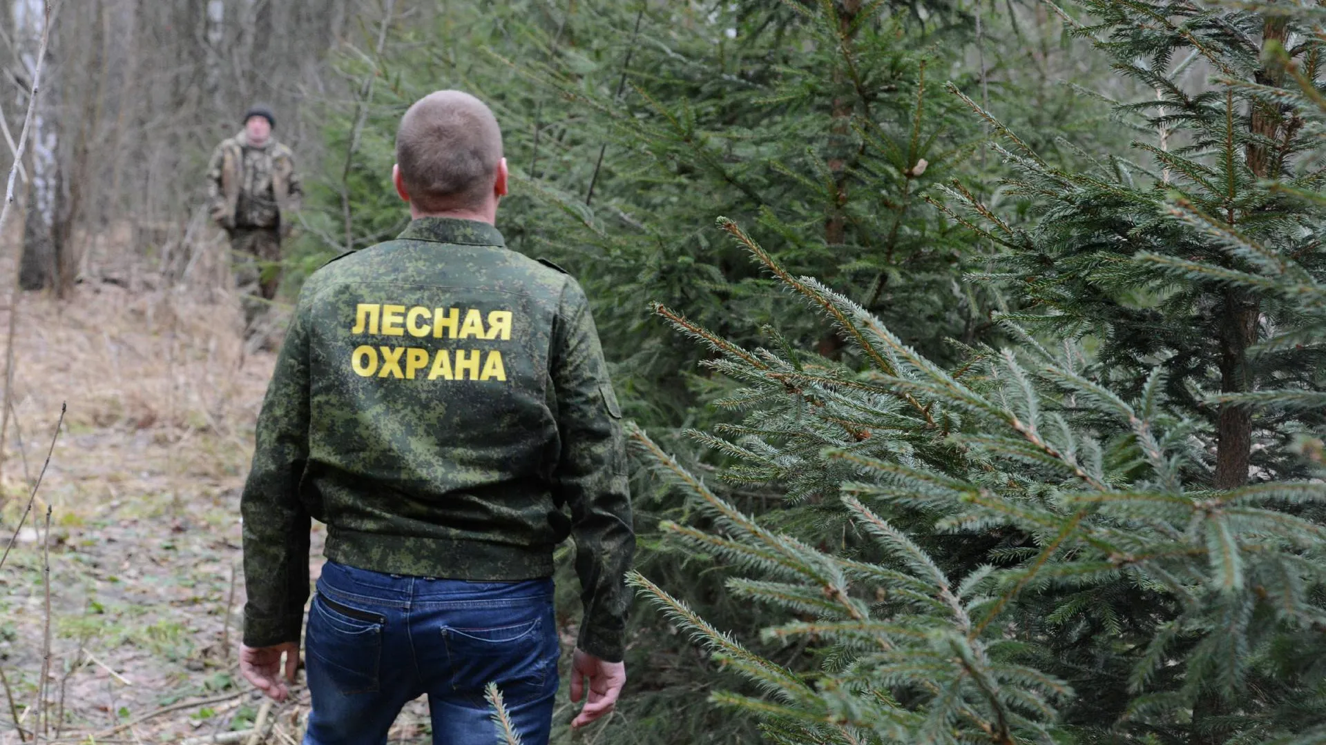 Фото Лесной Охраны