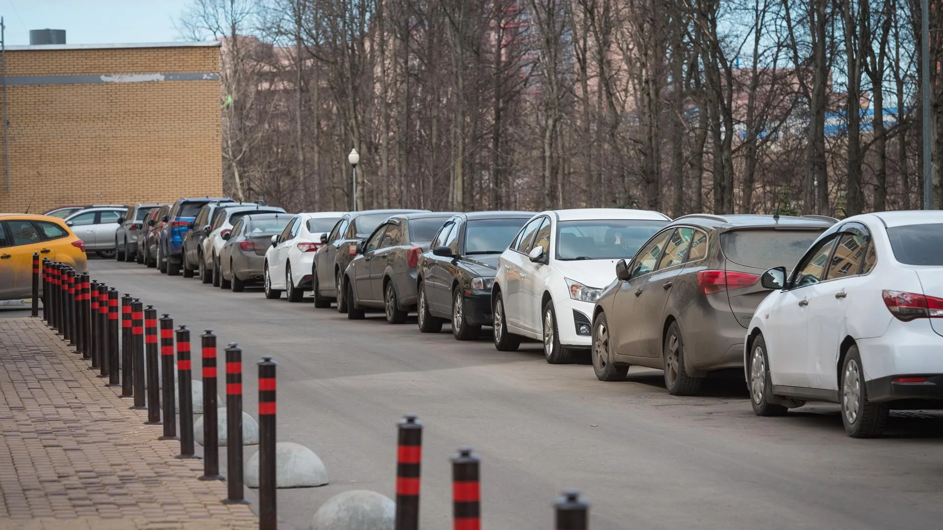 Водителям Подмосковья рекомендовали парковать авто подальше от деревьев  из‑за ветра | РИАМО