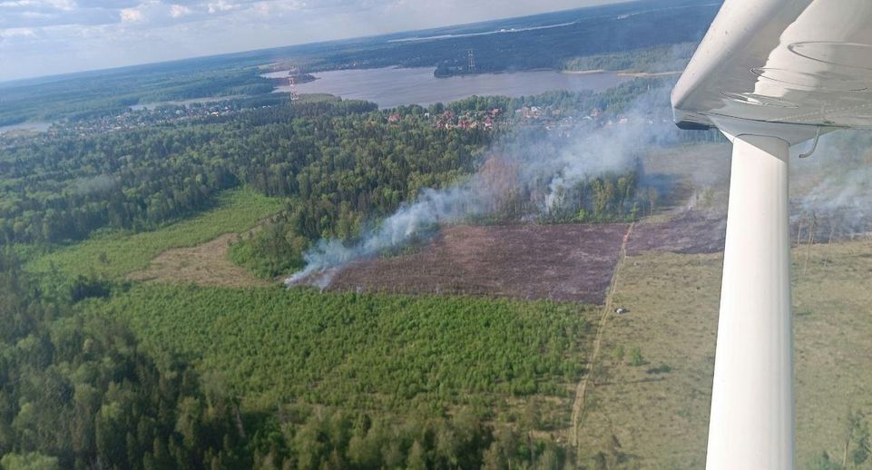 Лесной пожар потушили вблизи деревни Манюхино в Мытищах