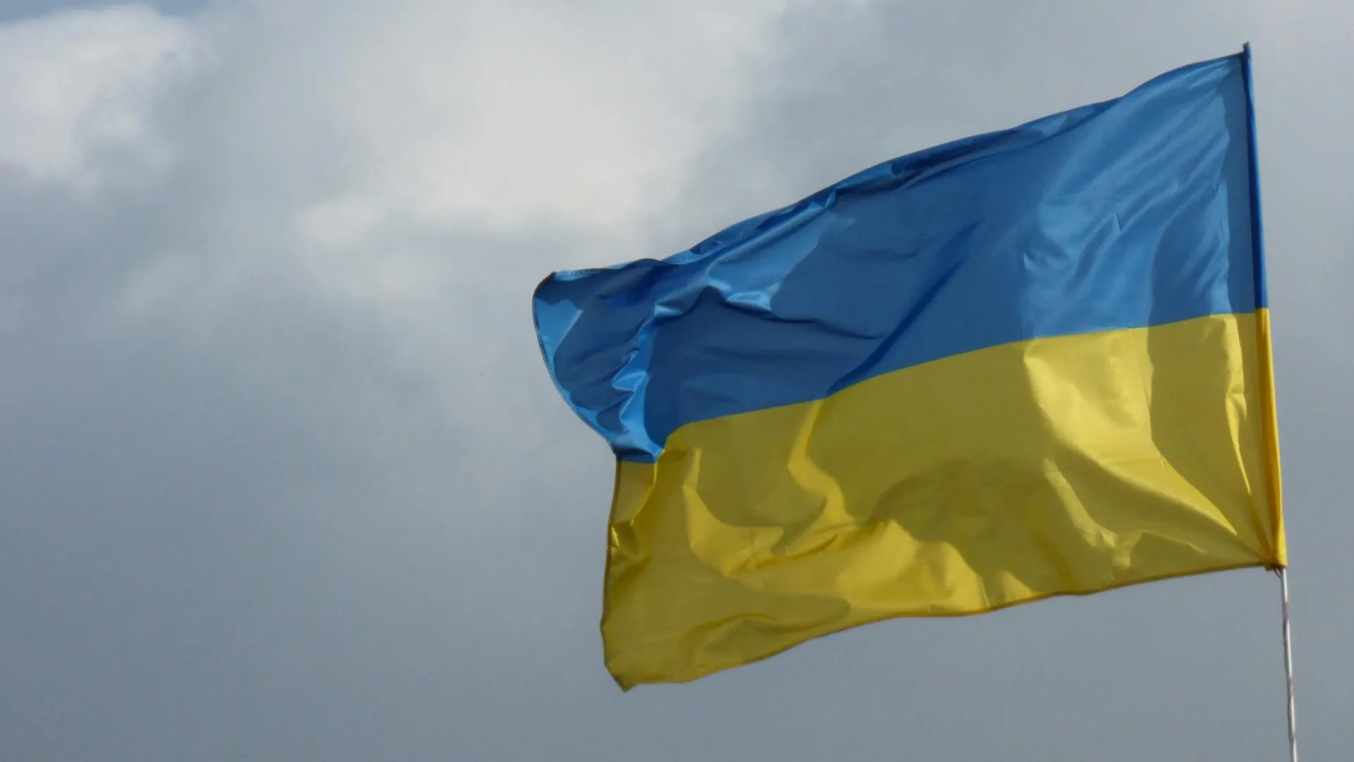 СК нашел связь устроивших теракт в «Крокусе» со спецслужбами Украины