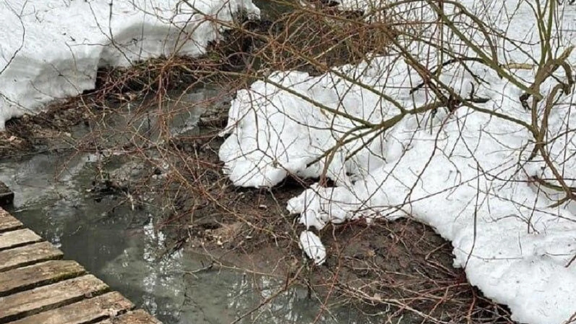 В Красногорске устанавливают обстоятельства загрязнения водных объектов