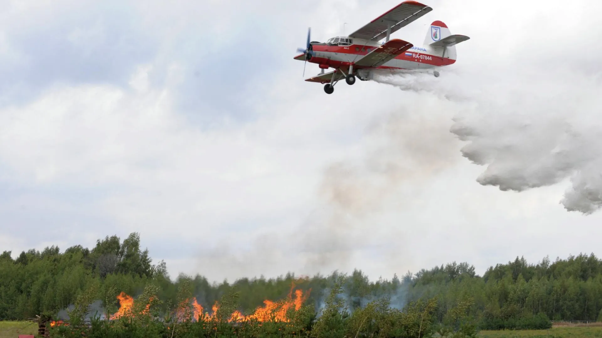 Почти 20 самолетов помогут защищать леса Подмосковья от пожаров