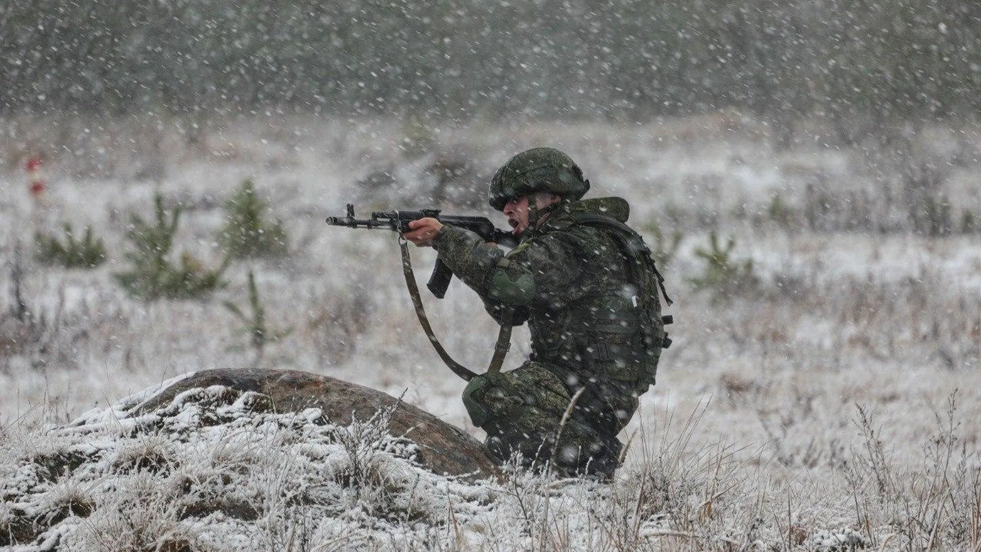 Российские военные выбили ВСУ из лесопосадок над Степовым