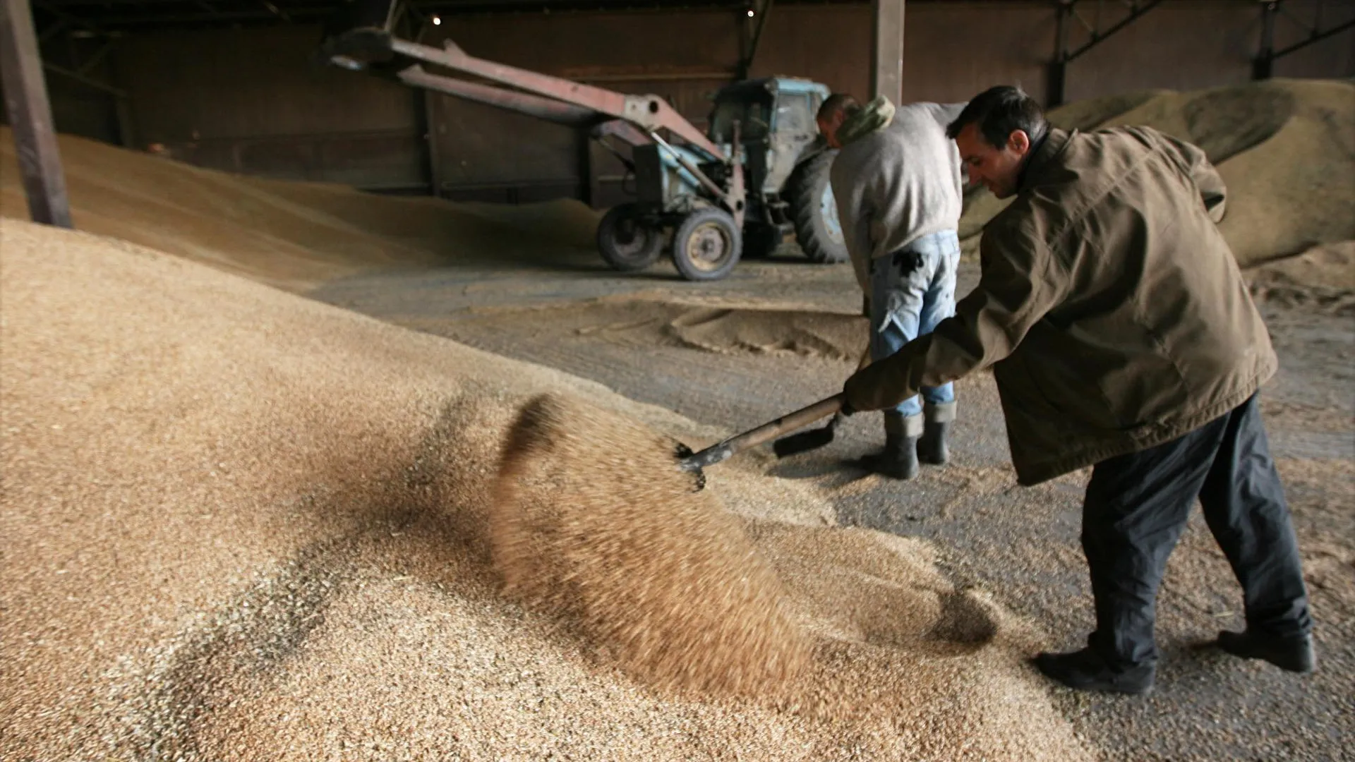 Компанию в Ступине оштрафовали за нарушения правил хранения зерна