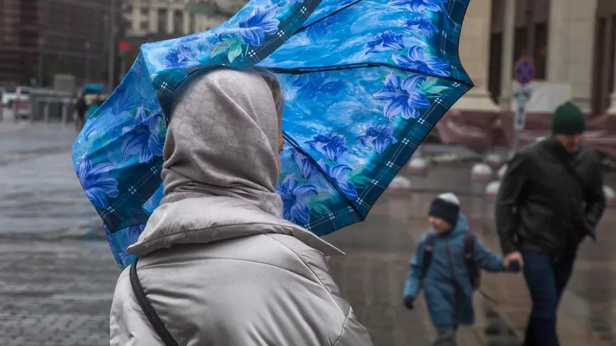Циклон «Мартина»: что известно о предстоящей непогоде в Москве 1 ноября