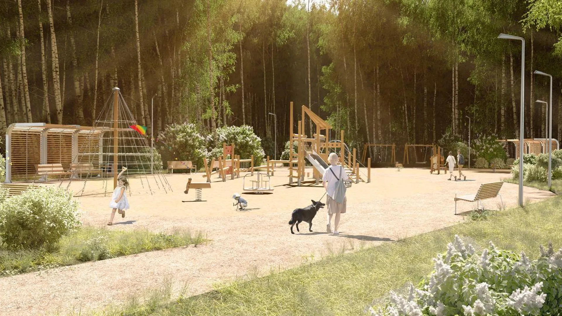 В Чехове планируют благоустроить Губернский лесопарк в 2024 году