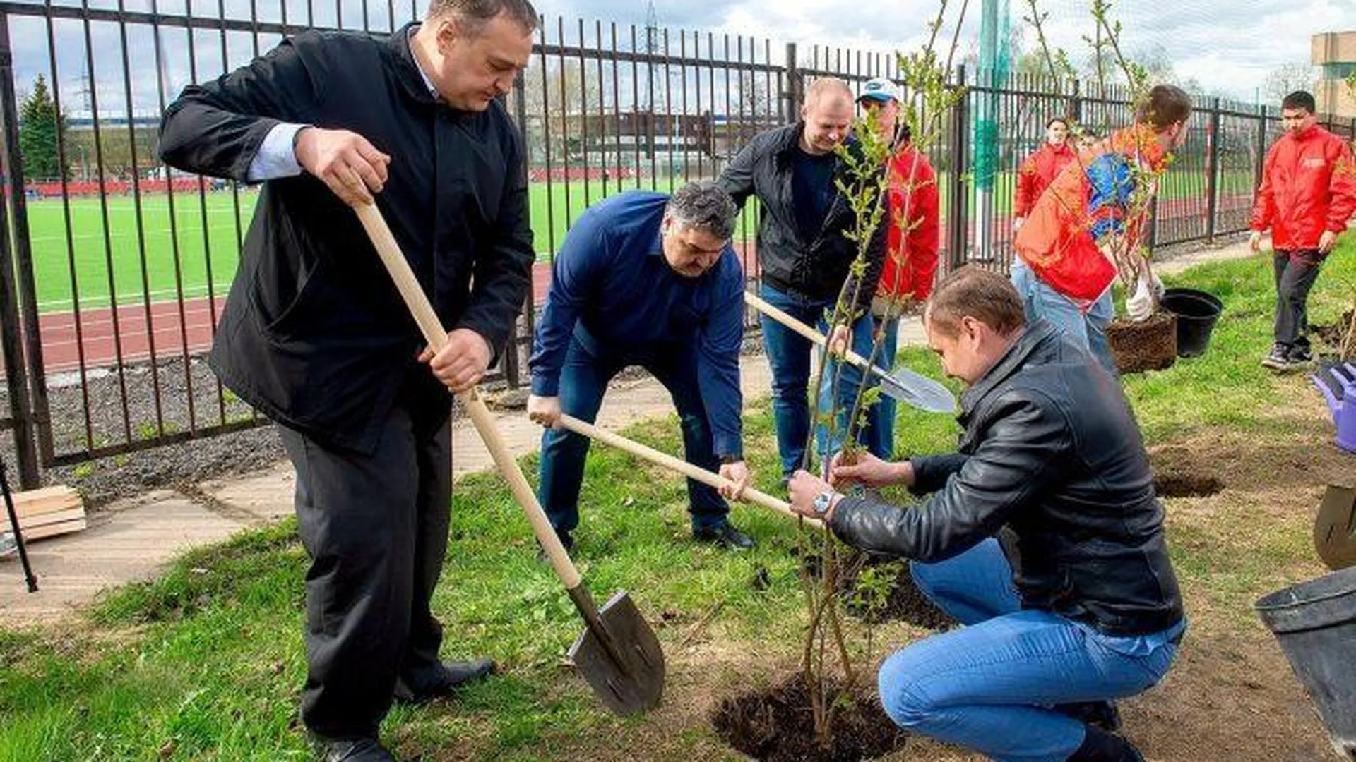 20 кустов сирени высадили рядом с обновленным стадионом «Весна» в Подольске