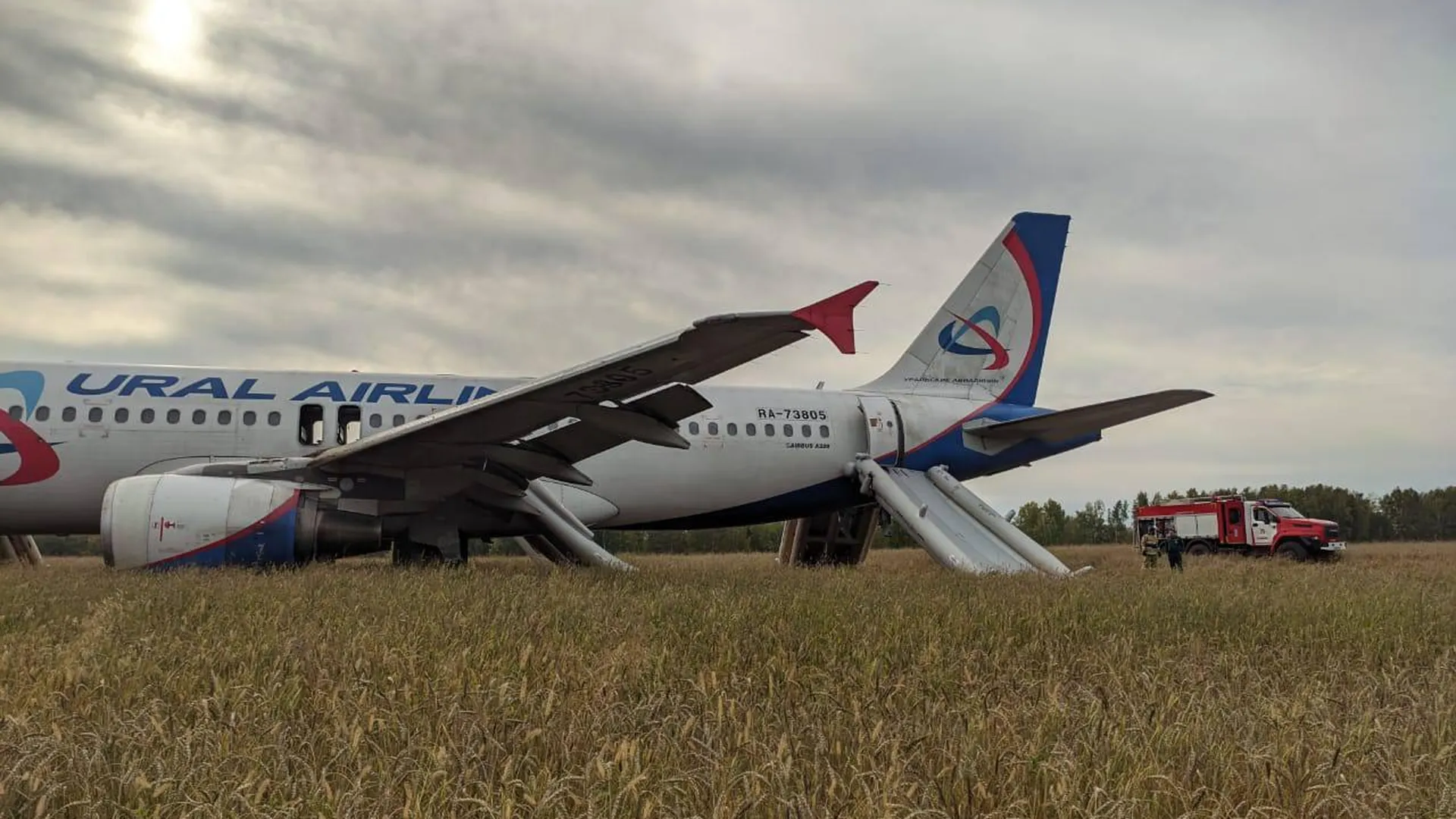 Что известно об экстренной посадке самолета Airbus A320 под Новосибирском 12 сентября
