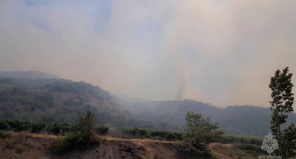 МЧС РФ: площадь пожара в Крыму достигла 15 гектаров, тушение проводят с воздуха