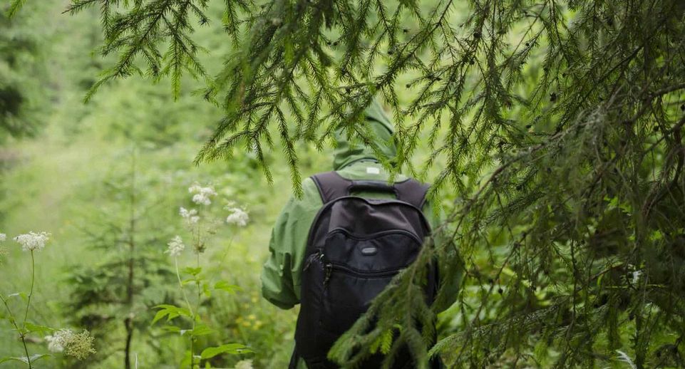 45 человек заблудились в лесах Подмосковья с начала года
