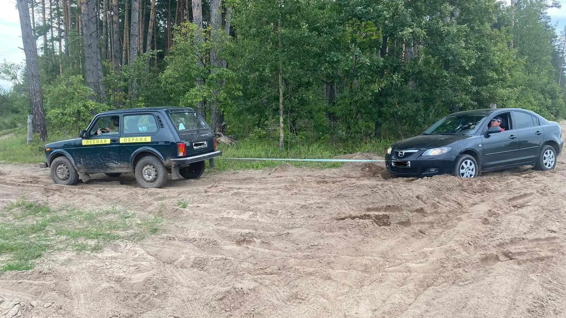 Лесничие Подмосковья помогли вытащить автомобиль из песчаной ловушки на  дороге | РИАМО