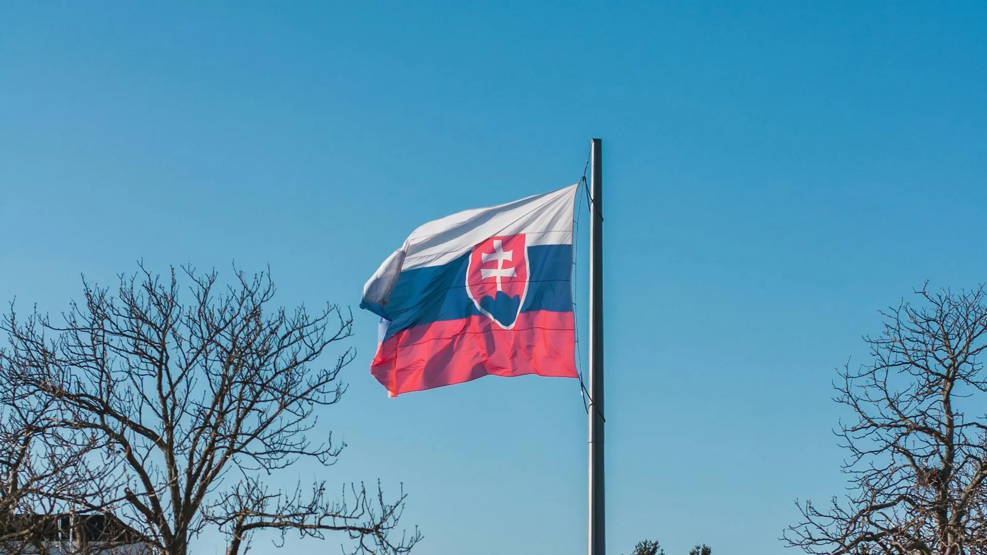 В МИД Словакии неожиданно высказались о нападении на Фицо