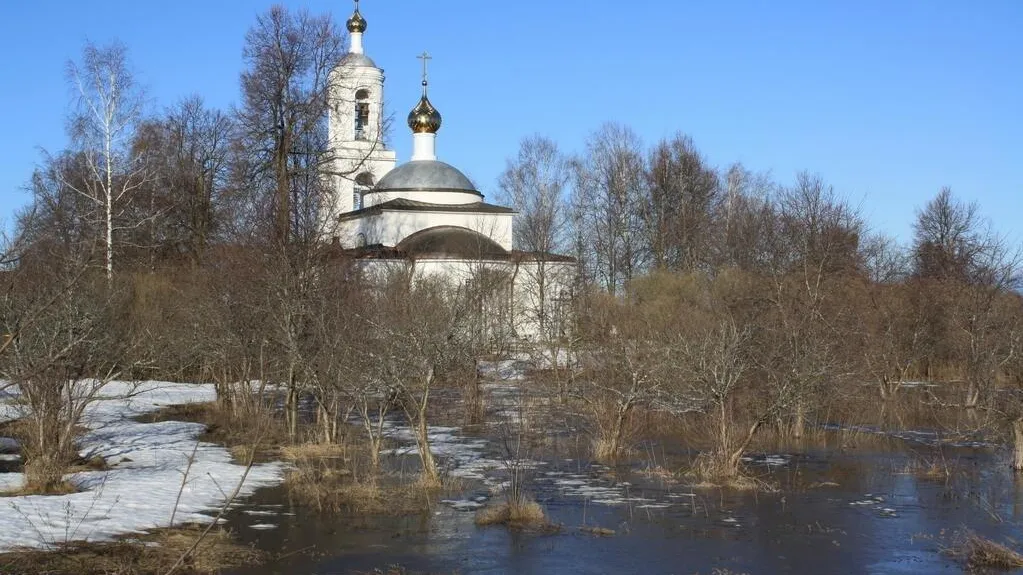 Семен Бруква