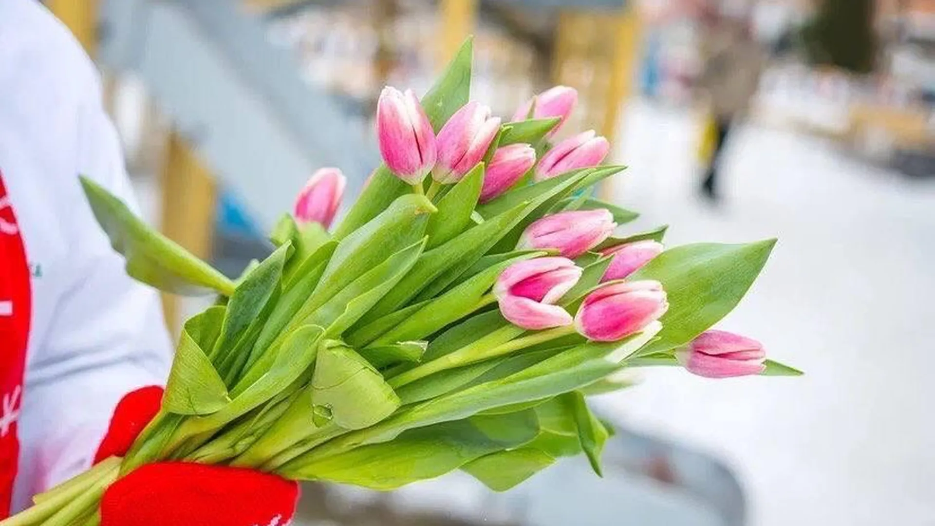 Более 20 тыс человек посетили программу «Весна, цветы и комплименты» в парках Подмосковья