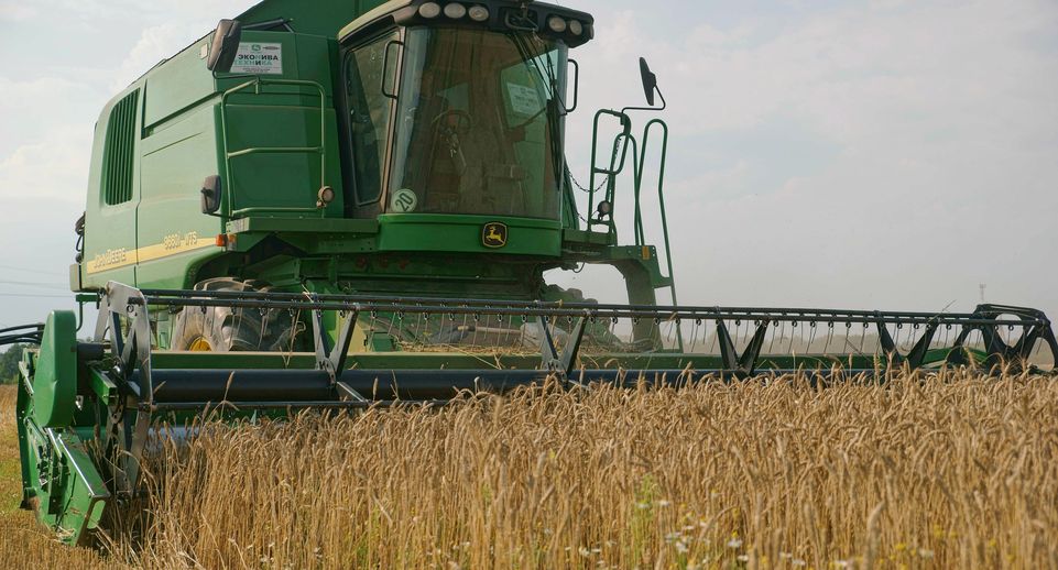 Майские холода в России повлияют на стоимость пшеницы на мировых рынках