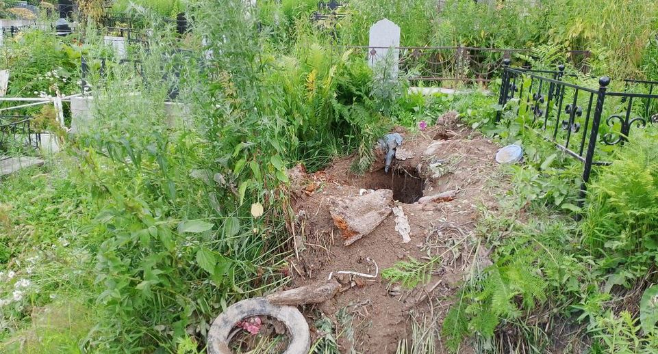 В Междуреченске медведь разрывает могилы на кладбище и ест принесенную еду