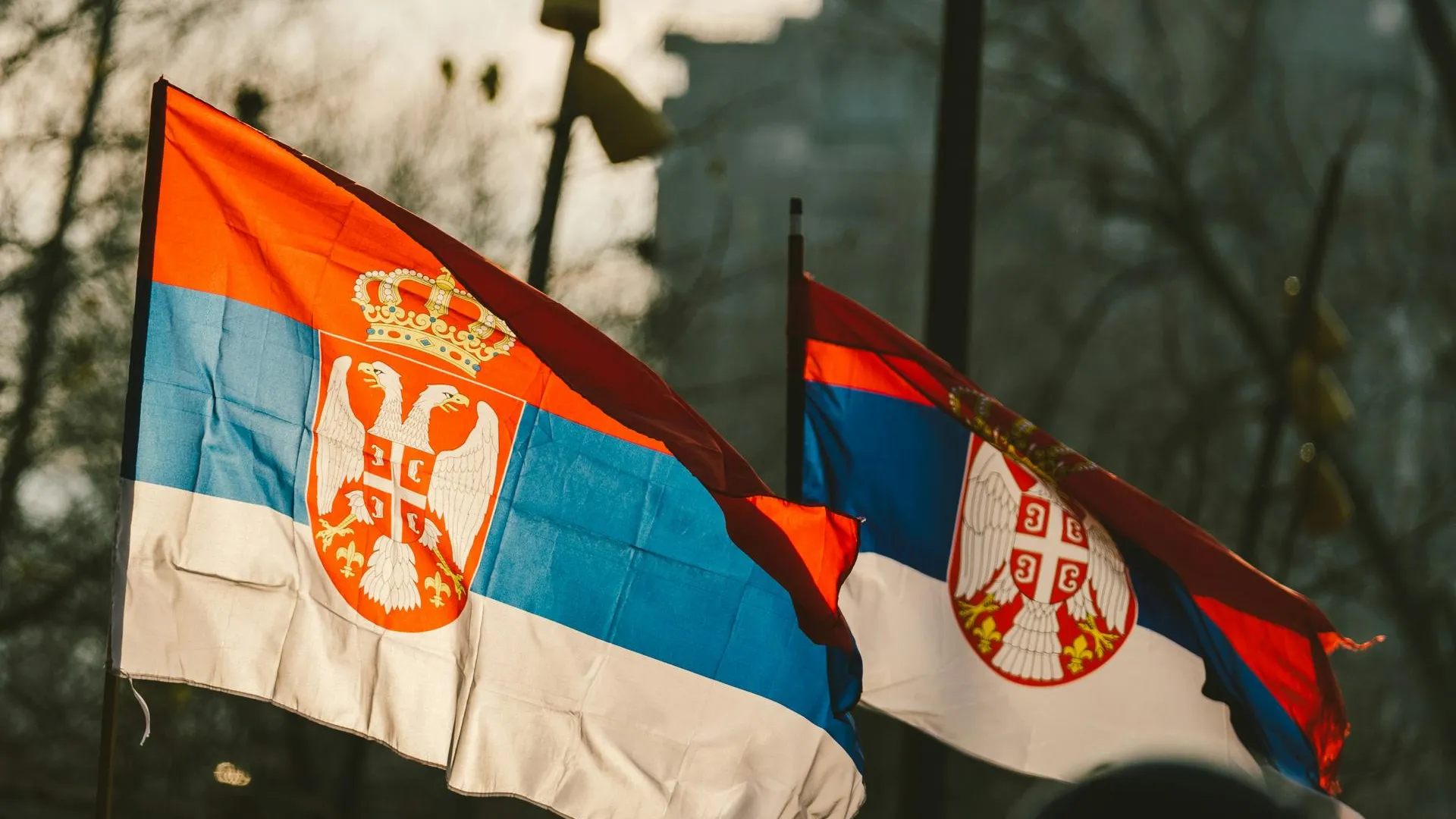 Госдума ратифицировала протоколы о реструктуризации долгов Сербии перед РФ