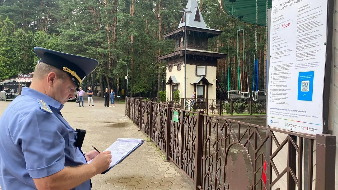 Карусели и батуты в парке Домодедова соответствуют требованиям безопасности