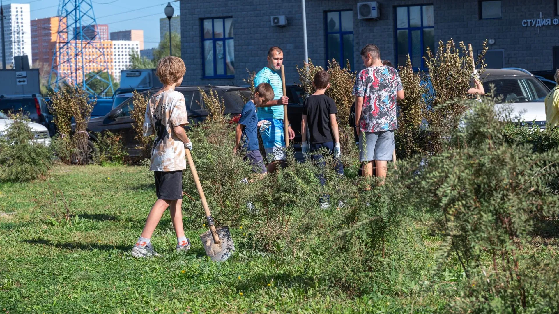 В рамках акции «День в лесу» в Реутове высадили 40 сосен