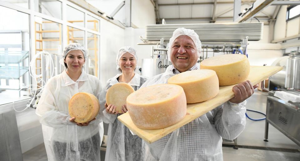 21 сорт сыра производит крестьянско-фермерское хозяйство из Дмитровского округа