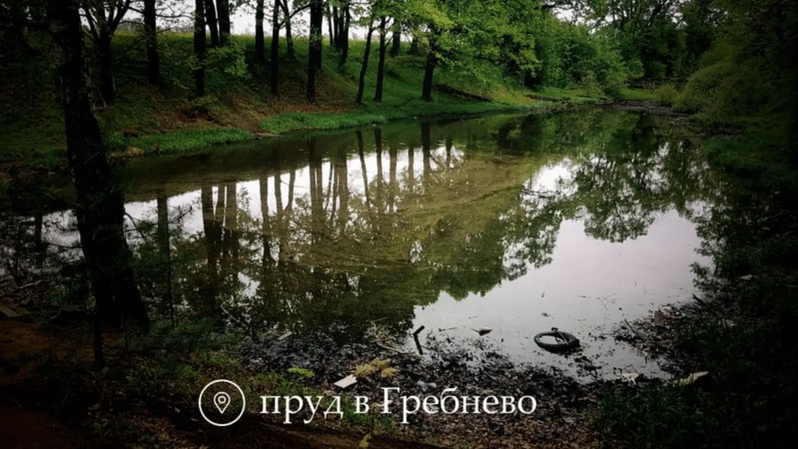 В Щелкове очистят еще два пруда в 2024 году