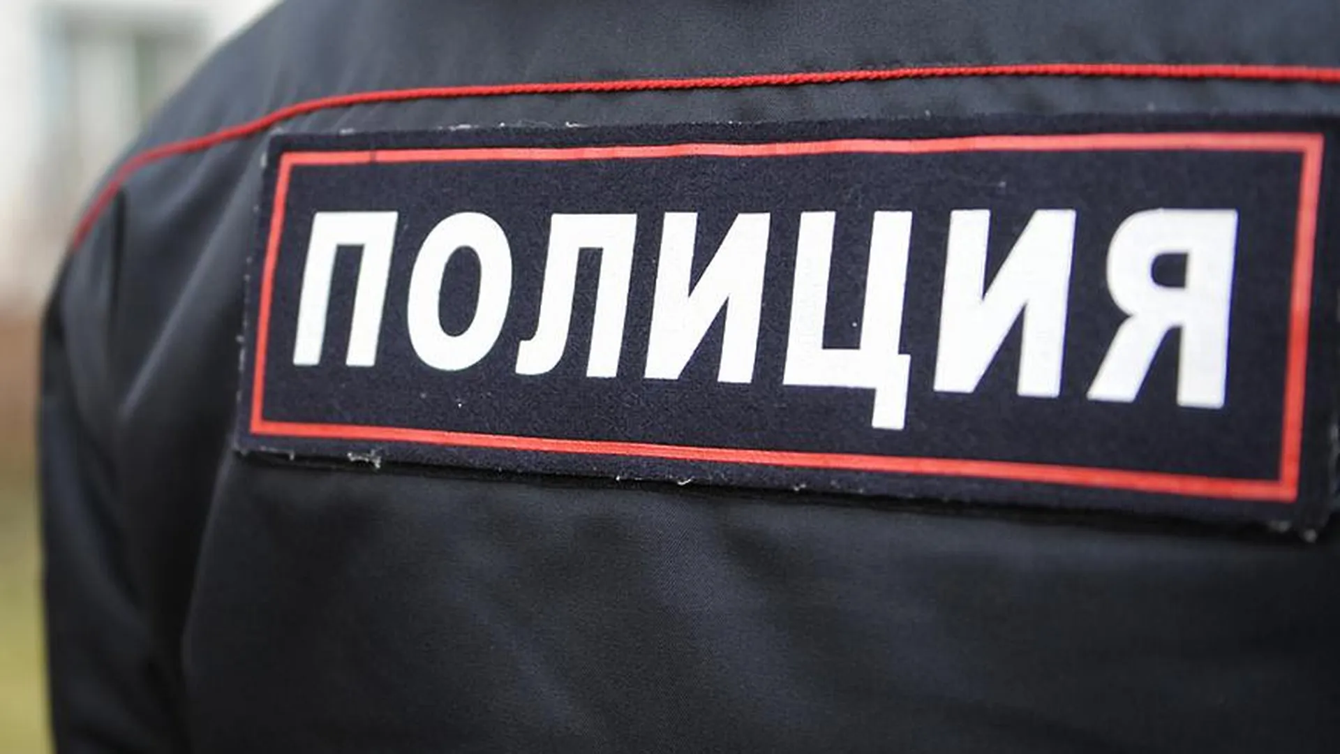Более 7 тыс человек обеспечили охрану правопорядка на День Победы в Подмосковье