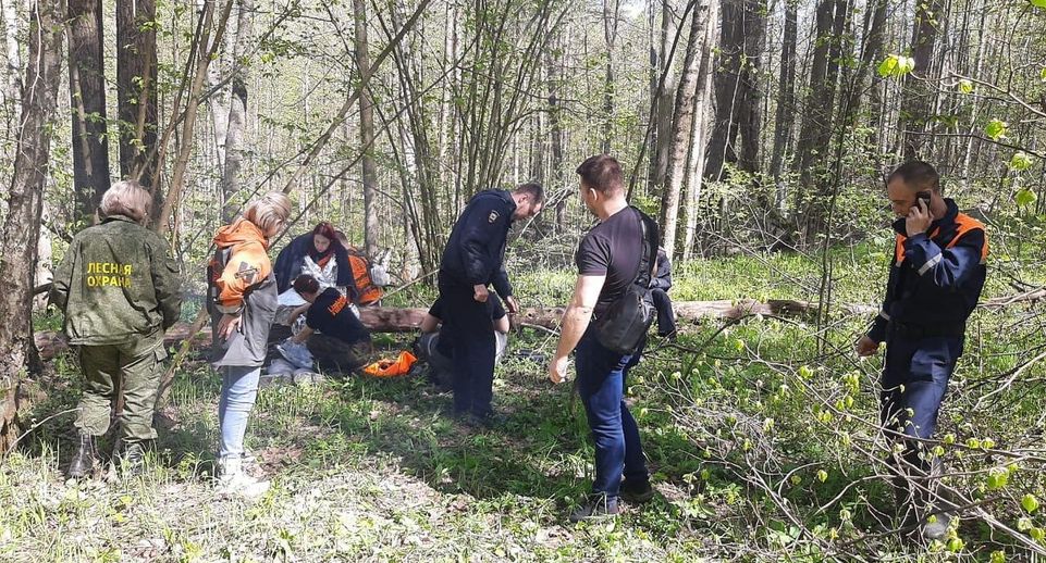 Заблудившейся девушке помогли выбраться из леса в округе Коломна