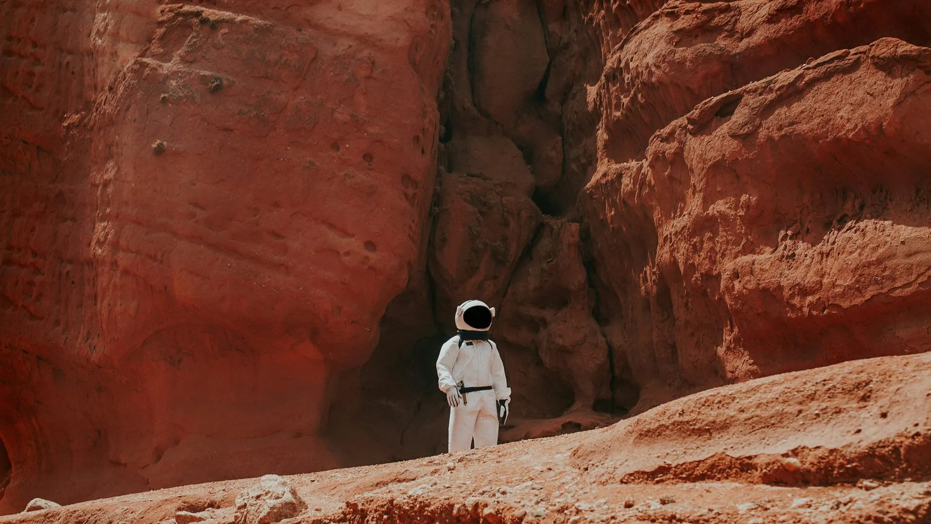 Илон Маск порекомендовал США отправить астронавтов на Марс