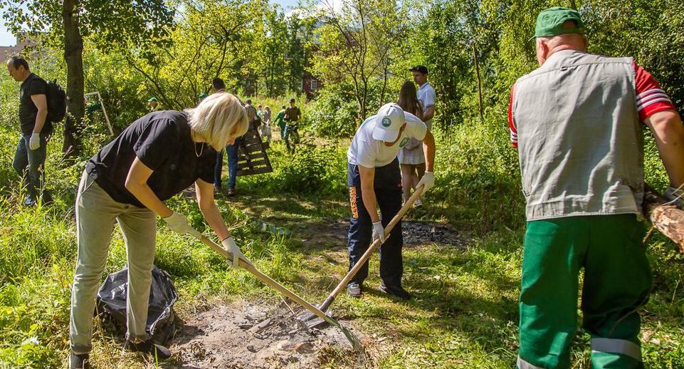 В Одинцовском округе пройдет экологическая акция «Чистый лес»