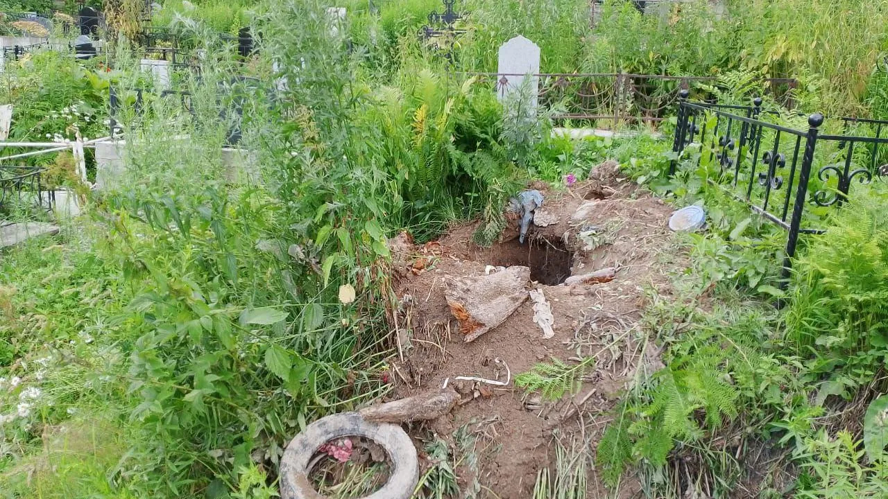 Фото: в Кузбассе хищник раскапывает могилы на кладбище
