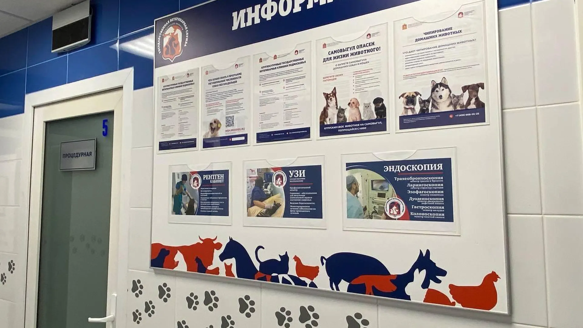 В Подмосковье опубликован рейтинг ветеринарных станций