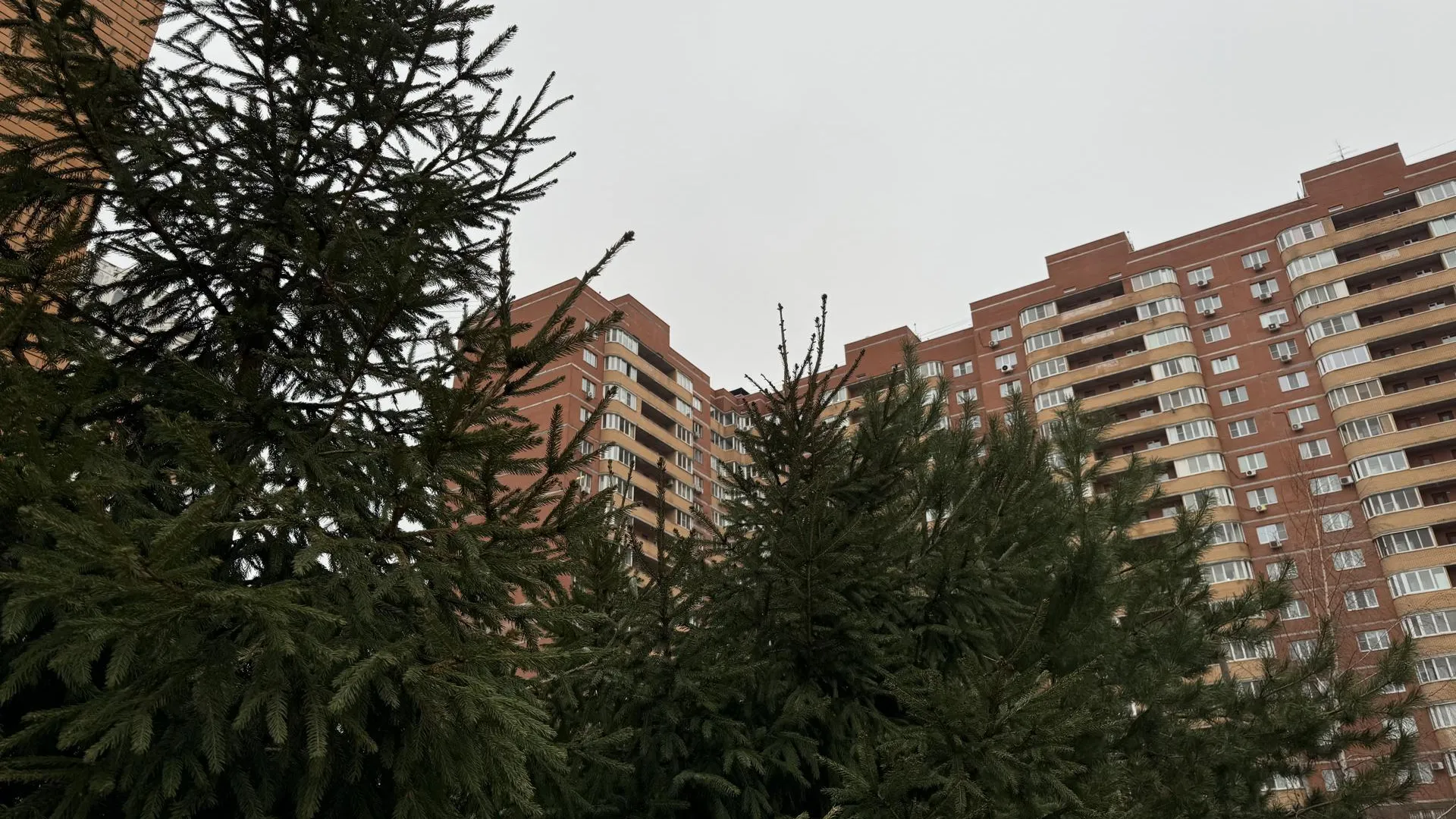 В Подмосковье объяснили, какие виды работ должна выполнять УК по уборке подъездов