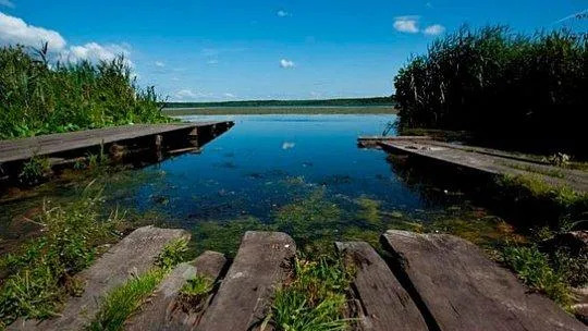 сайт министерства экологии и природопользования Московской области