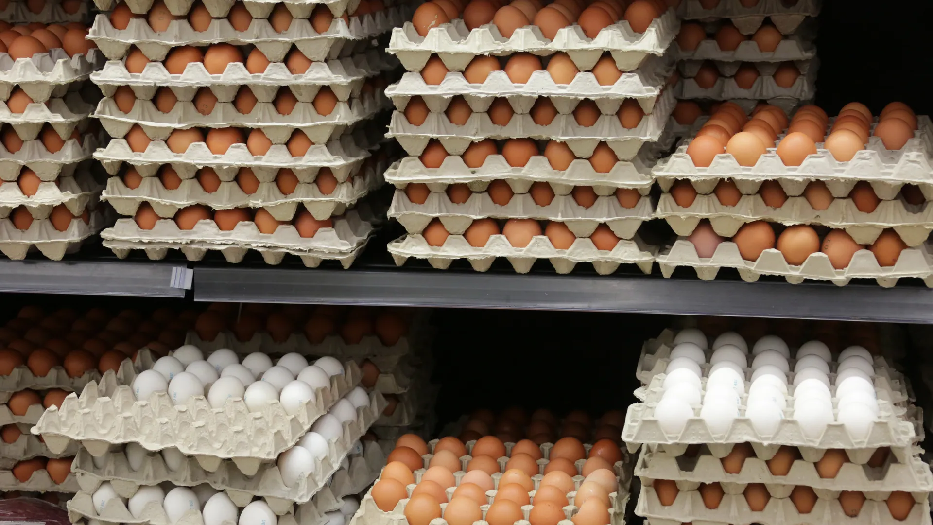 Стало известно, насколько сильно подешевели куриные яйца в РФ