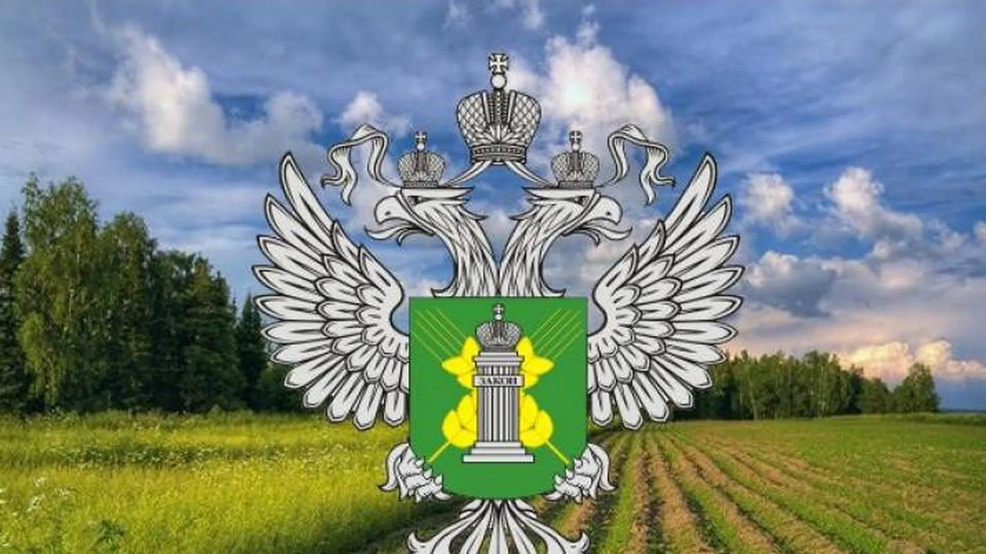 Земельный надзор россельхознадзора. Земельный надзор Россельхознадзор. Россельхознадзор Башкортостан. Россельхознадзор земля.